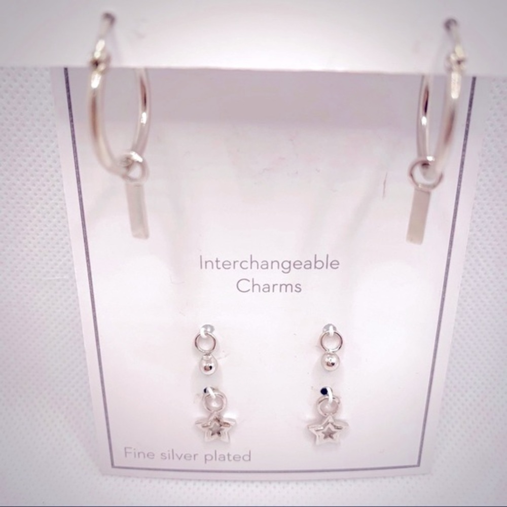 Silver Interchangeable Earrings Set with Charms